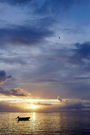 15_024708  ©ThMartinez Sea&Co.  RAIATEA - ILES SOUS LE VENT. POLYNESIE FRANCAISE .  2 Février 2015. ..SUNSET