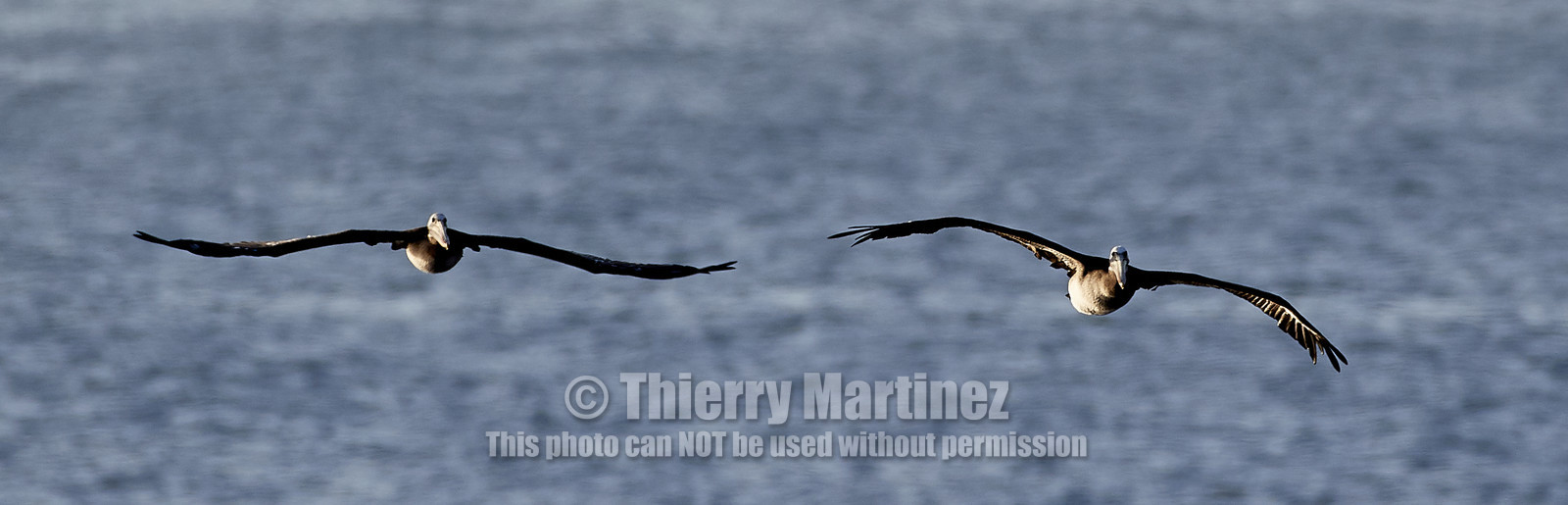 THM-18_043059_ZAPALLAR