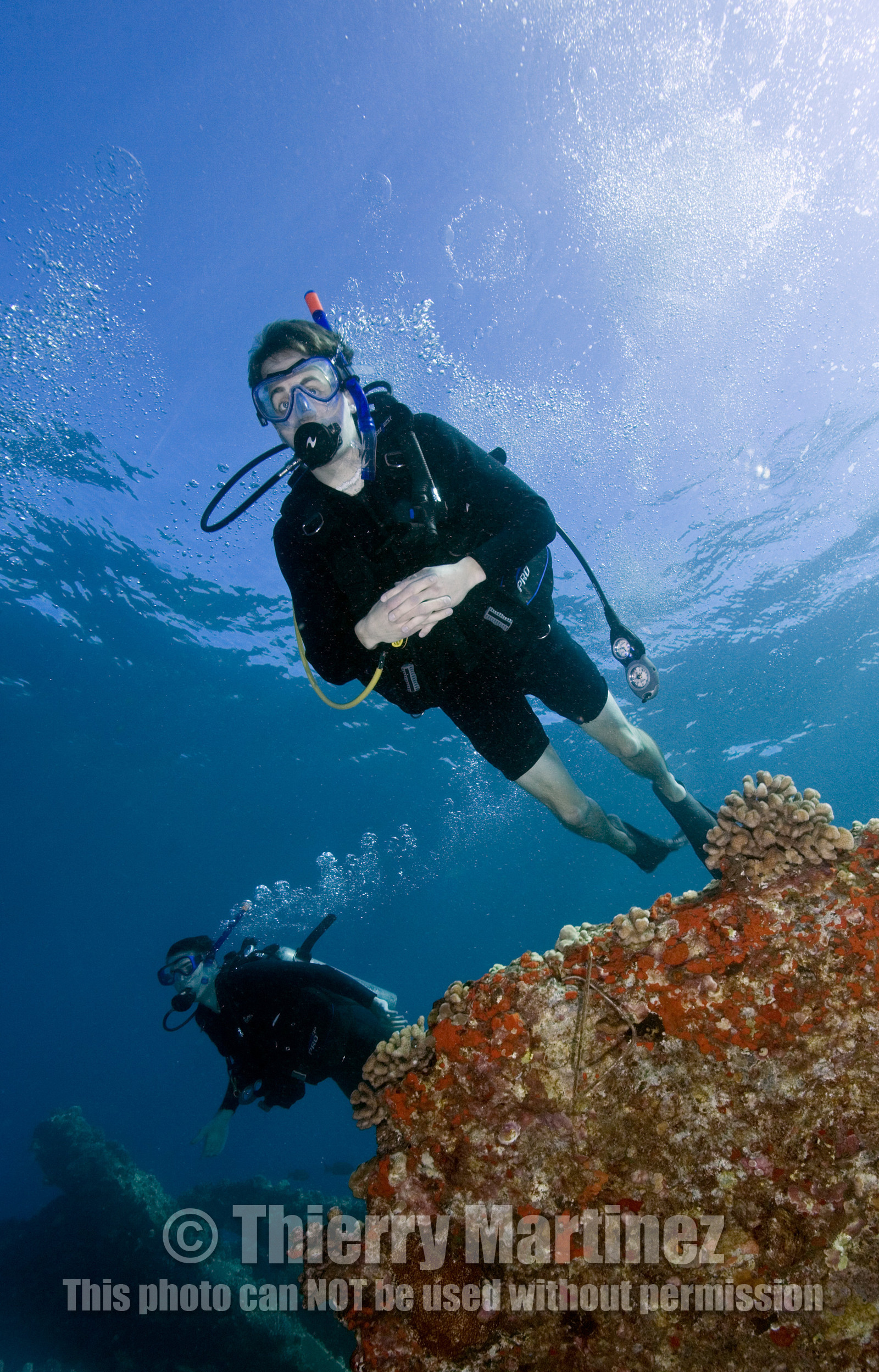 Diving in Maui HAWAII - USA . Jan 2007.