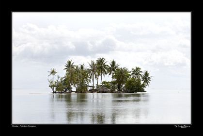 Photo disponible en tirage photo Fine Art,tirage original limités à 30 exemplaires.Chaque tirage est numéroté avec certificat d’authenticité signé.Pour choisir le format et support merci d'utiliser le caddie à coté de la photo.Formats disponibles : Tirage sur papier ( tirage seul) :  30x45 cm   40x60 cm  60x90 cm. Vous pouvez choisir le tirage avec un fond blanc ou noir , à votre convenance. Tirage sur papier contrecollé sur Dibond ( pas de bord blanc ou noir autour de l'image), avec système d'attache au dos:  30x45 cm   40x60 cm  50x75 cm  80x120cm.Tirage sur toile ( Canvas) monté sur chassis bois (pas de bord blanc ou noir autour de l'image), avec système d'attache au dos :  50x75 cm  80x120cm.Expédition ( Dans le monde entier): Colissimo (assurance) avec signature à réception. 48h pour la France métropolitaine.Il est possible de récupérer les tirages à La Galerie du Golfe (sans frais d'expèdition).Conditionnement tirages seuls: tube cylindrique renforcé + boite.