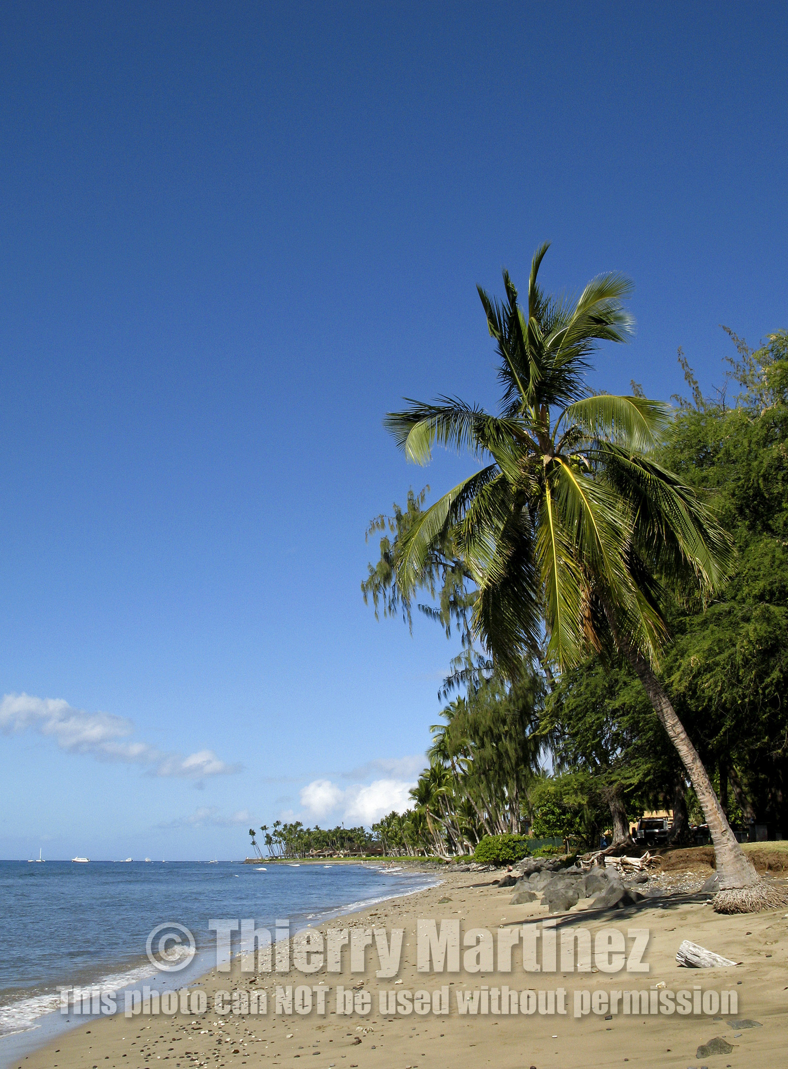 Diving in Maui HAWAII - USA . Jan 2007.