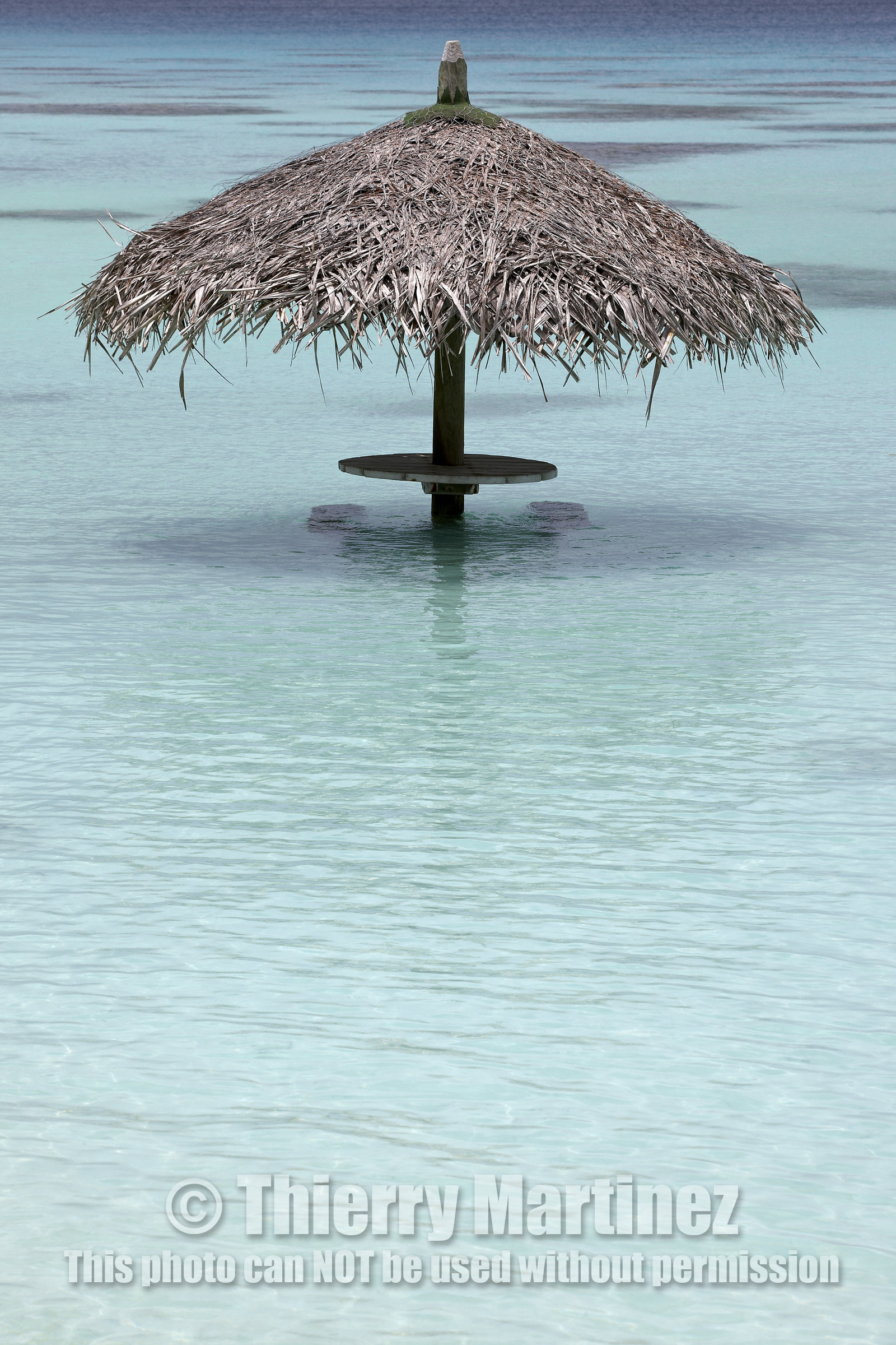 15_027660  ©ThMartinez Sea&Co.  FAKARAVA - ARCHIPEL des TUAMOTU. POLYNESIE FRANCAISE .  14 Février 2015. .