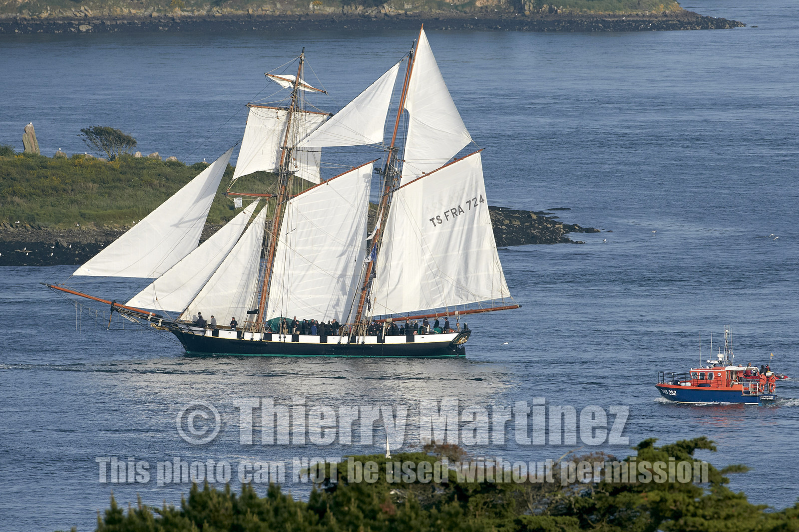 Semaine du Golfe 2015. Parade d'arrivée de la flotte.