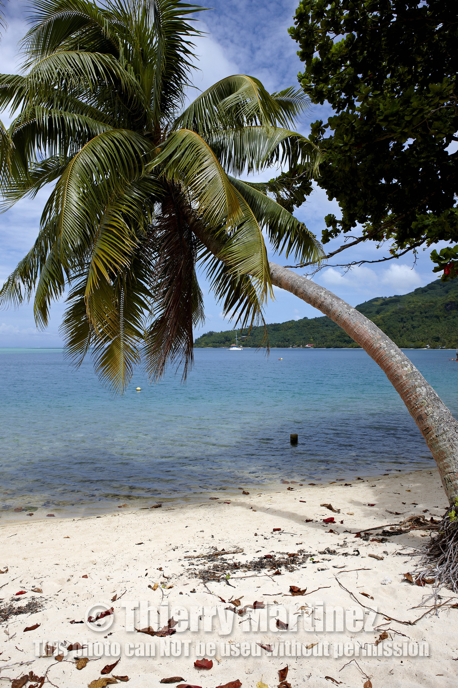 15_023252  ©ThMartinez Sea&Co.  HUAHINE - ILES SOUS LE VENT. POLYNESIE FRANCAISE . 31 January 2015. .