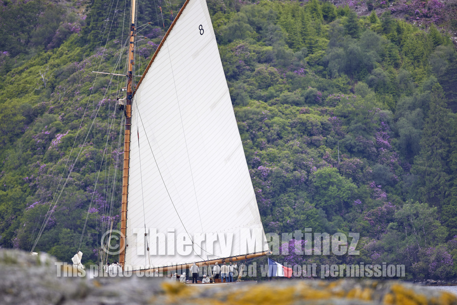 22_21779  © Thierry Martinez.FAIRLIE,SCOTLAND - UK 14th June 20222022 RICHARD MILLE FIFE REGATTA.Day 4 :ROTHESAY (ISLE OF BUTE) to PORTAVADIE.