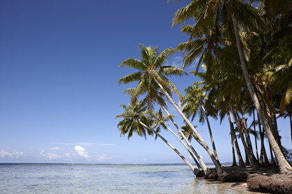15_024906  ©ThMartinez Sea&Co.  RAIATEA - ILES SOUS LE VENT. POLYNESIE FRANCAISE .  2 Février 2015. ..MOTU dans le lagon de Raiatea.