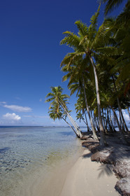 15_024812  ©ThMartinez Sea&Co.  RAIATEA - ILES SOUS LE VENT. POLYNESIE FRANCAISE .  2 Février 2015. ..