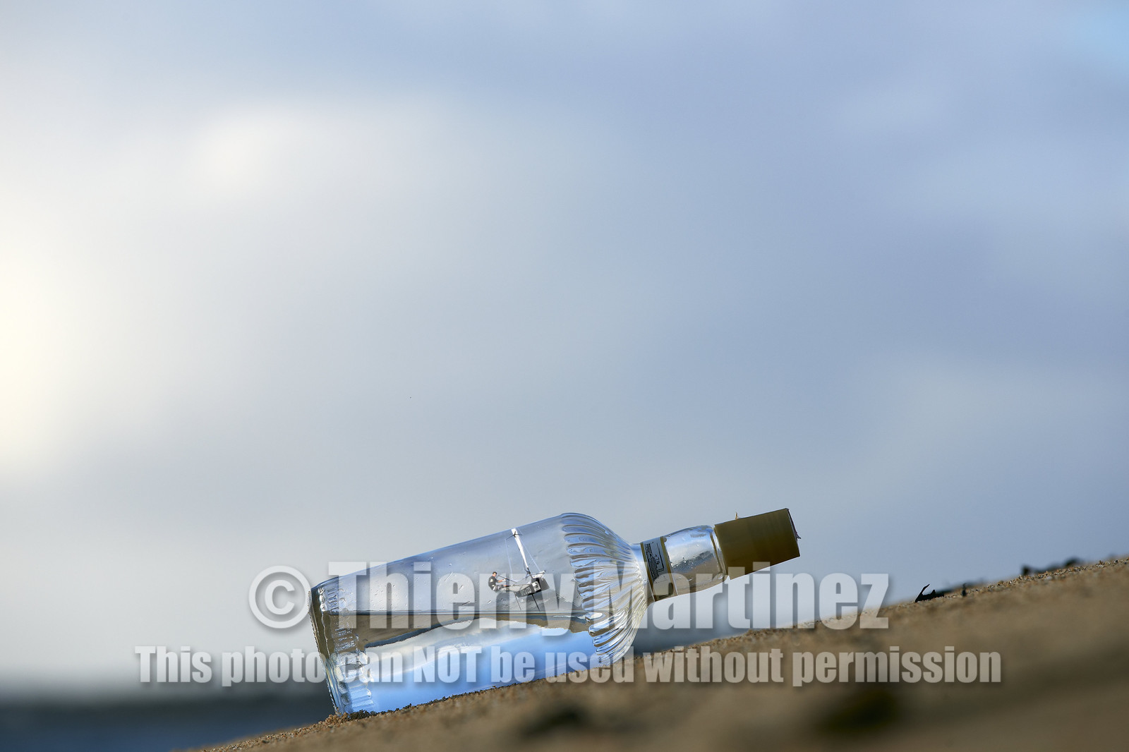 13_00077 Photomontage. Moth in a bottle.