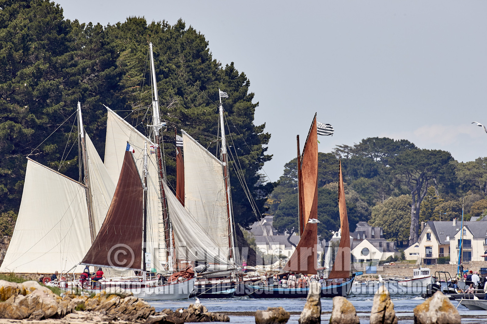 THM-17_010833-SEMAINE du Golfe