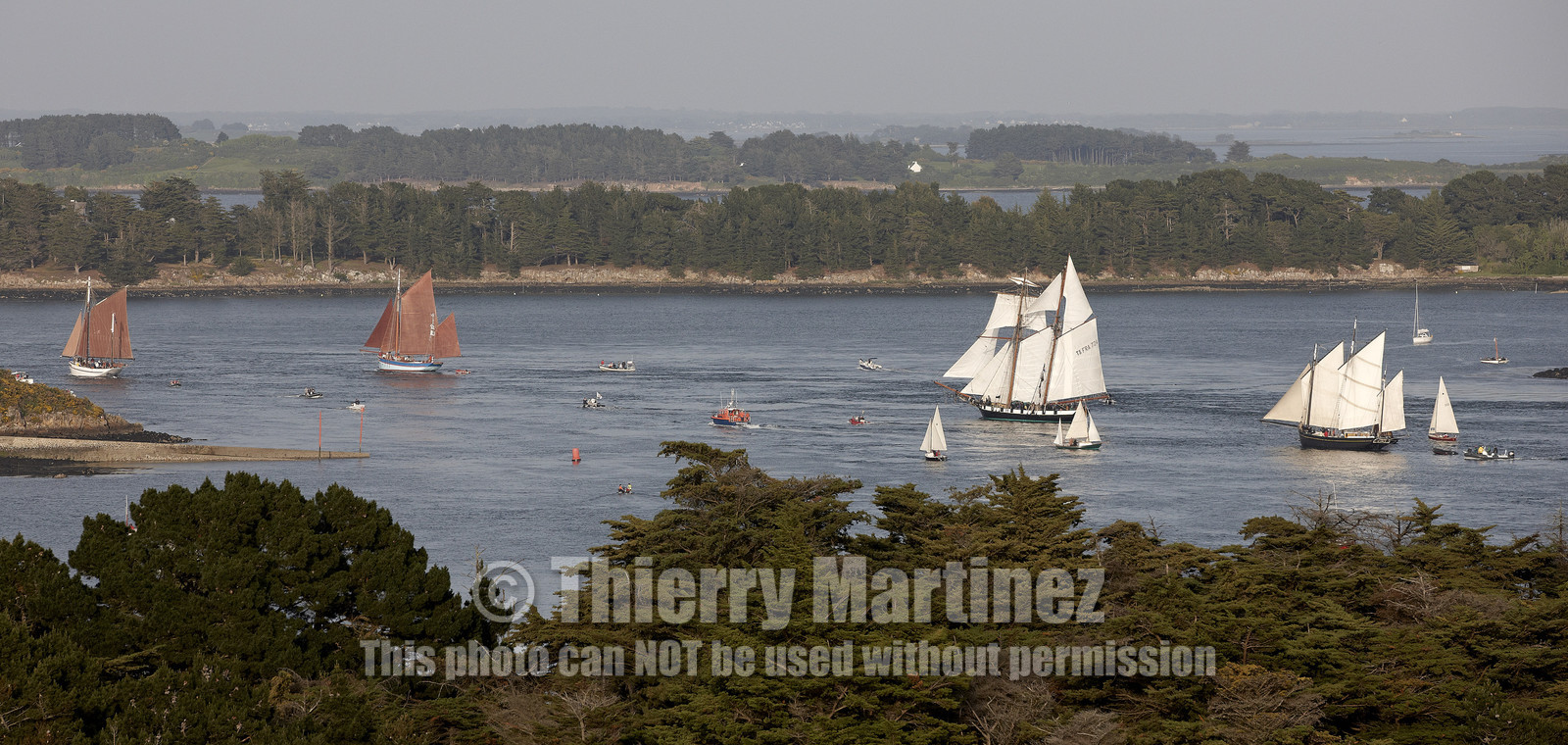 Semaine du Golfe 2015. Parade d'arrivée de la flotte.