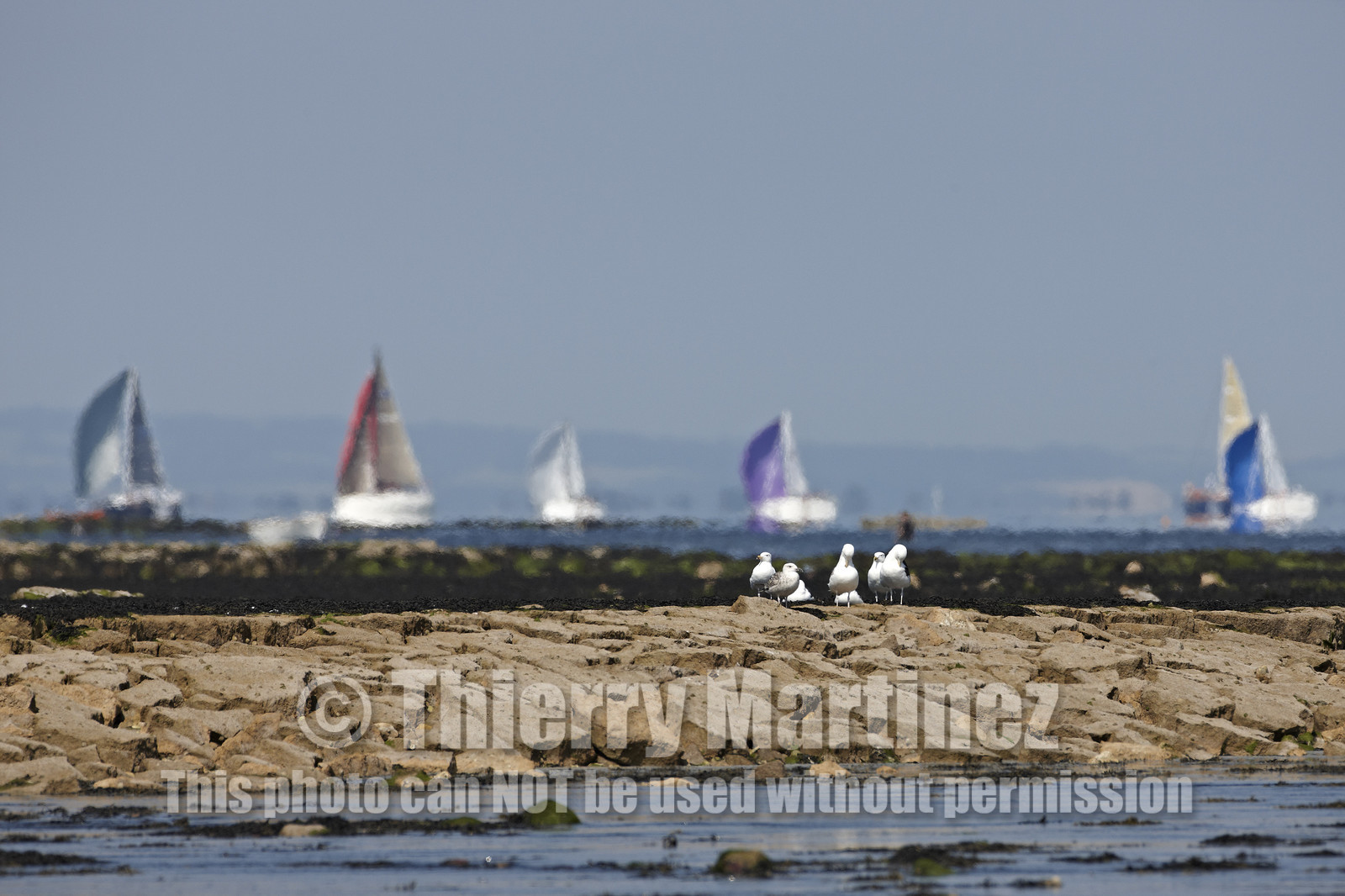 2014 JP Morgan Asset Management Round the Island Race .
