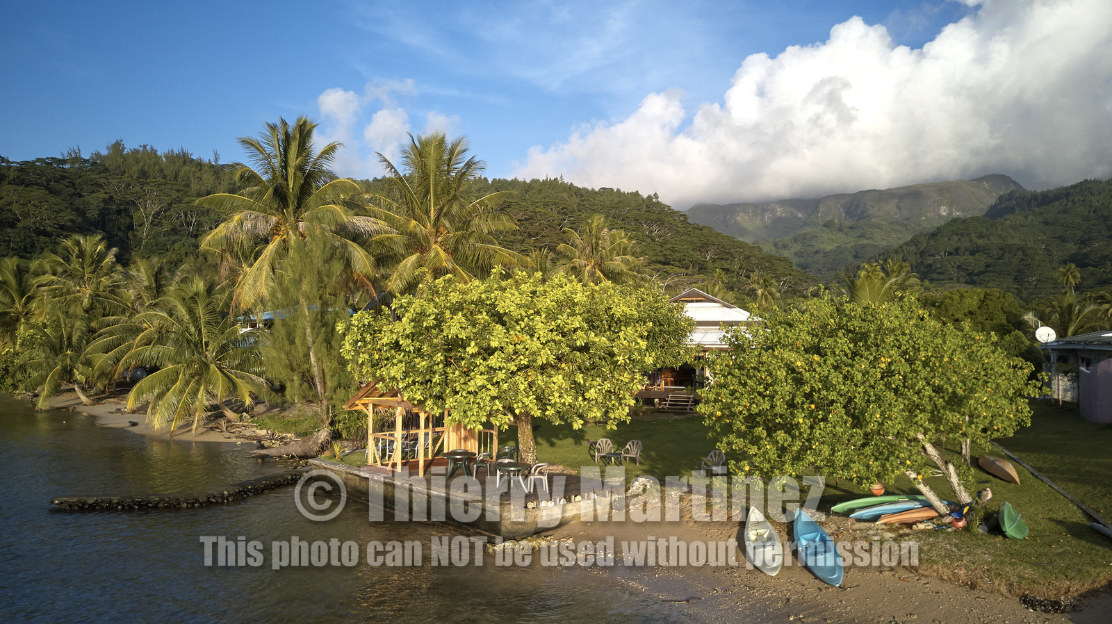 THM-18_038022_TEMEHANI