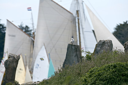 THM-15_48032-SEMAINE du Golfe