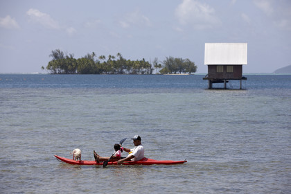 15_023784  ©ThMartinez Sea&Co.  RAIATEA - ILES SOUS LE VENT. POLYNESIE FRANCAISE .  1er Février 2015. ..