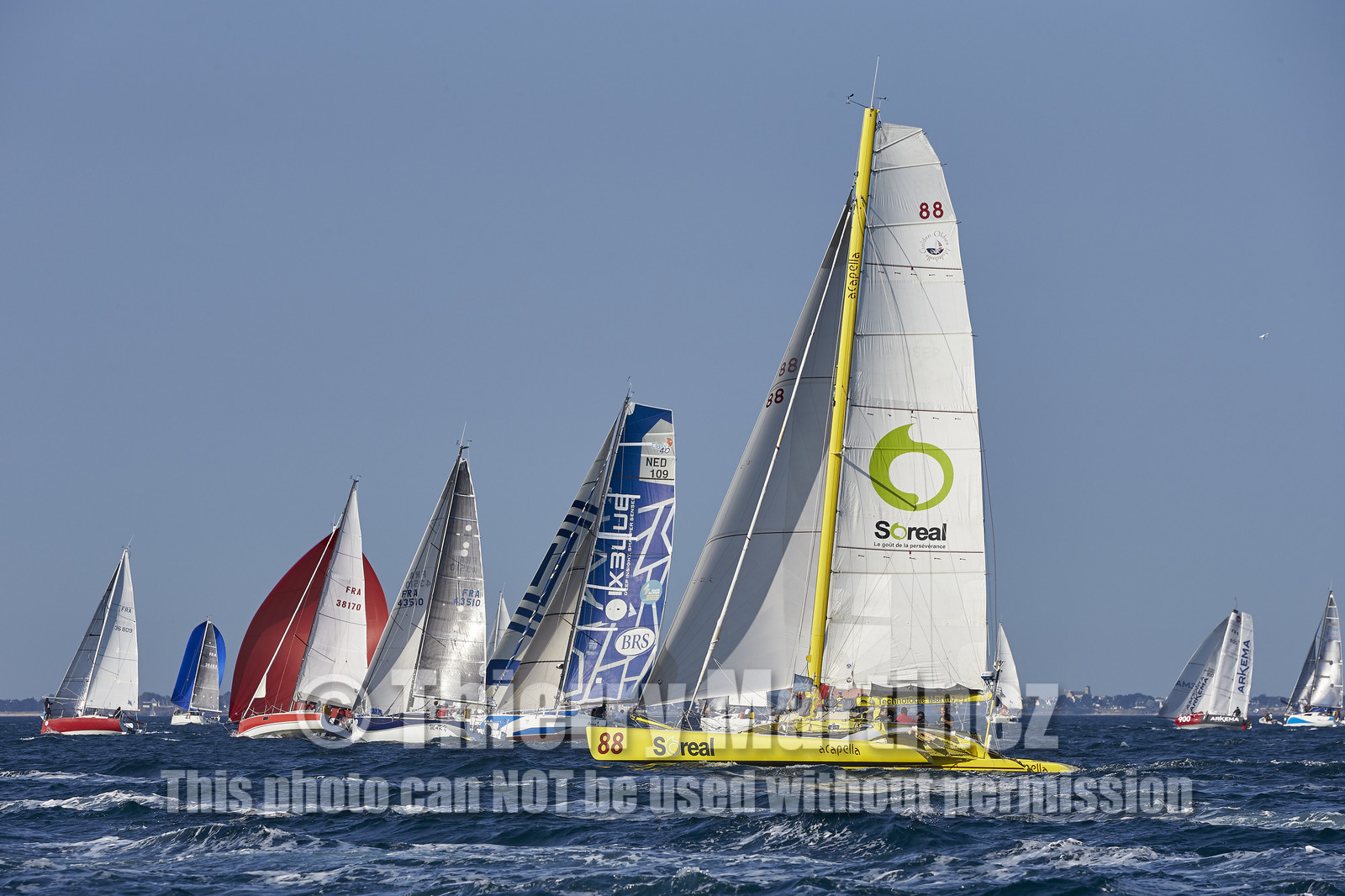 16_44137-DREAHM CUP 2016