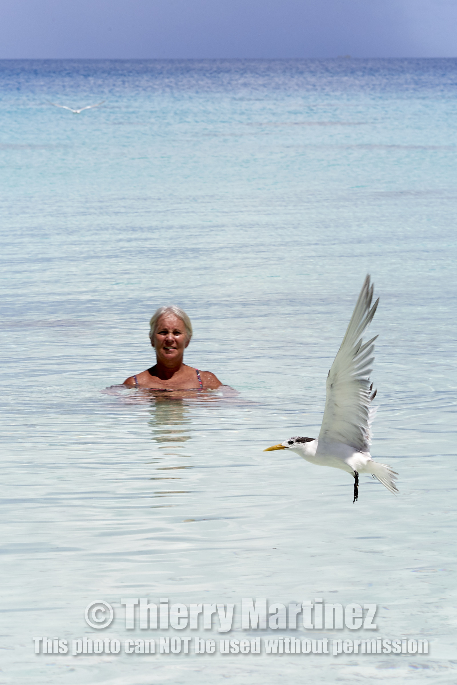 THM-18_041056_FAKARAVA