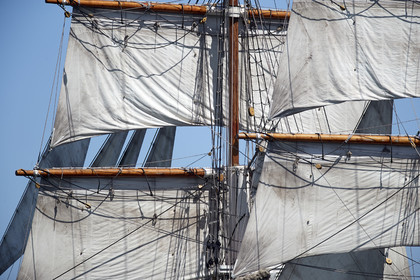 THM-19_17593-SEMAINE du Golfe PARADE