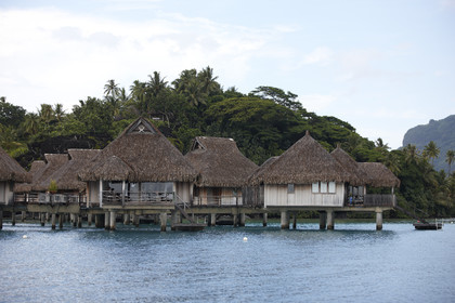 15_026012  ©ThMartinez Sea&Co.  BORA BORA - ILES SOUS LE VENT. POLYNESIE FRANCAISE .  6 Février 2015. ...