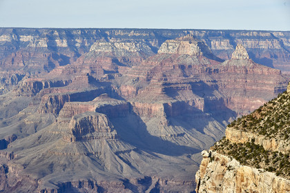 THM-18_057761-GRAND CANYON
