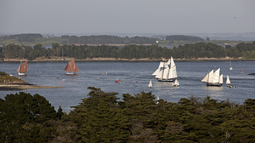 Semaine du Golfe 2015. Parade d'arrivée de la flotte.