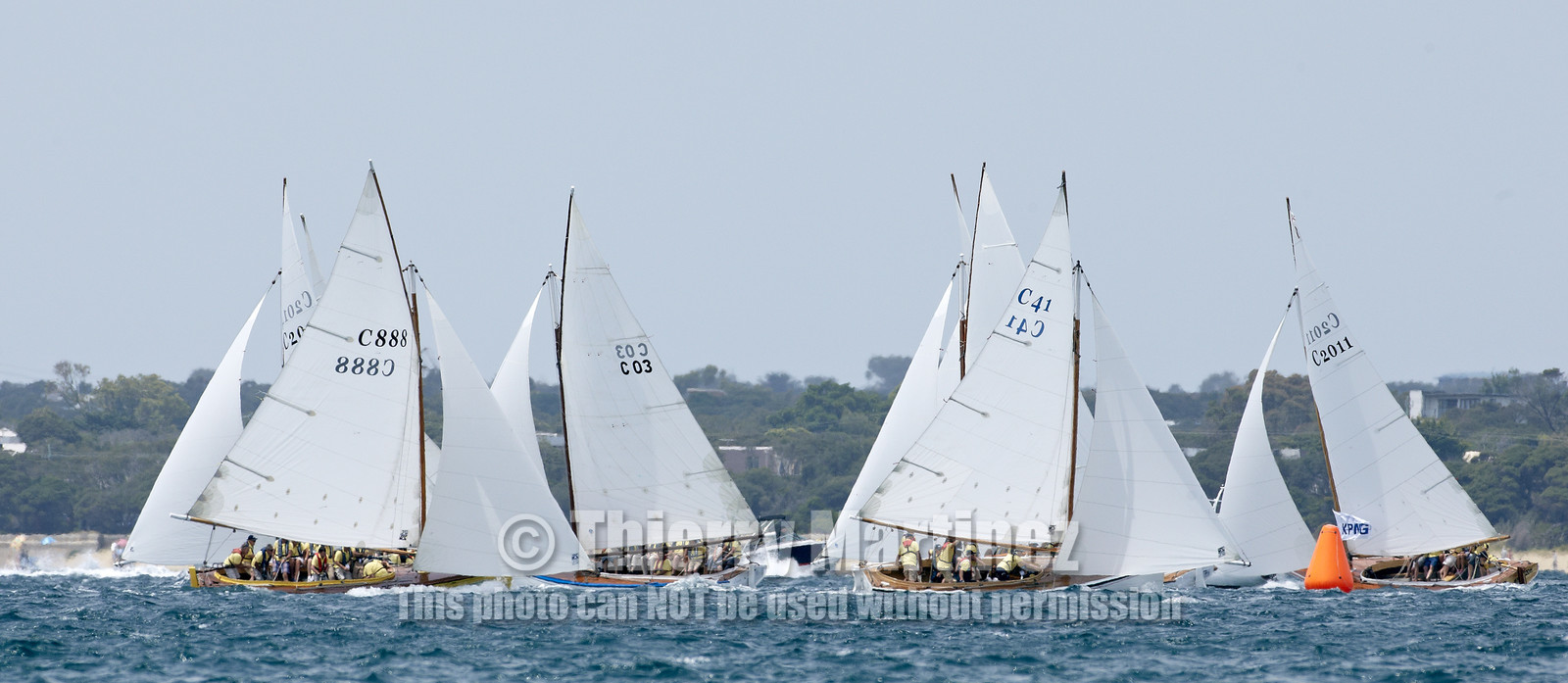 Couta Boat race in Sorrento.