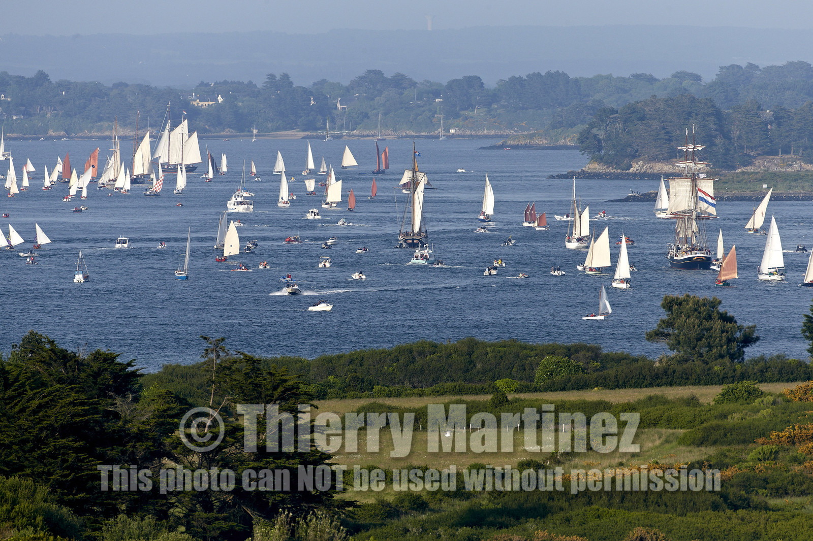 Semaine du Golfe 2015. Parade d'arrivée de la flotte.