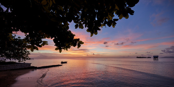 THM-18_038121_RAIATEA