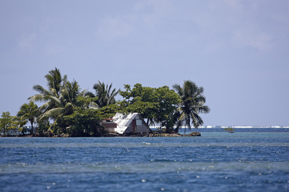 15_023923  ©ThMartinez Sea&Co.  RAIATEA - ILES SOUS LE VENT. POLYNESIE FRANCAISE .  2 Février 2015. ..