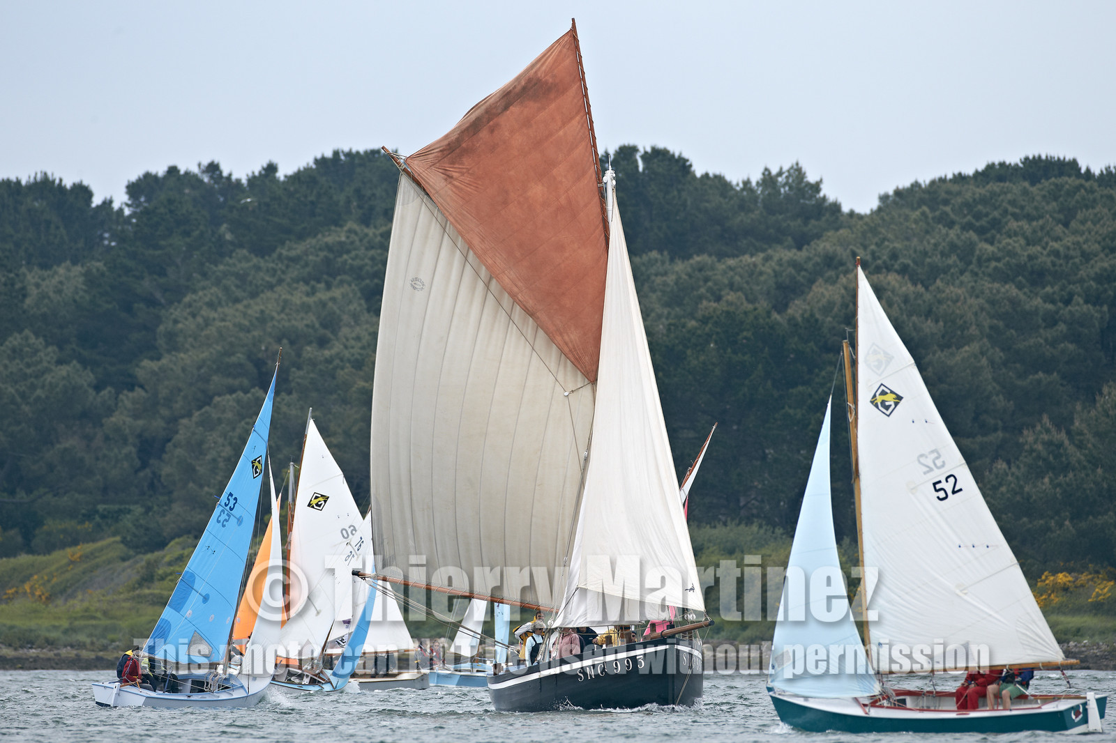 THM-15_46581-SEMAINE du Golfe