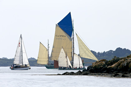 THM-15_45736-SEMAINE du Golfe