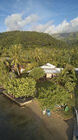 THM-18_038035_TEMEHANI