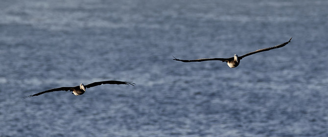 THM-18_043054_ZAPALLAR