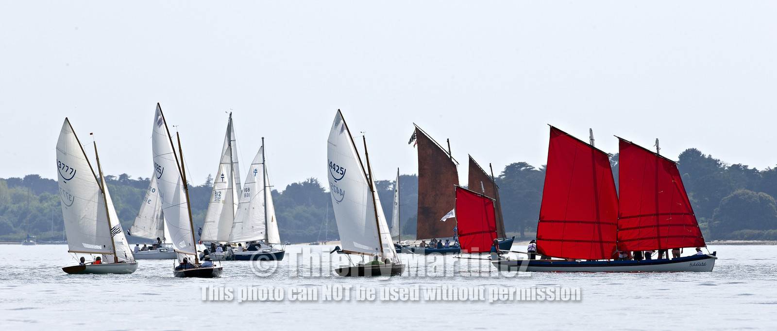 THM-15_45759-SEMAINE du Golfe