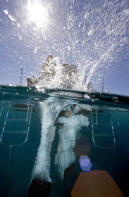 Diving in Maui HAWAII - USA . Jan 2007.