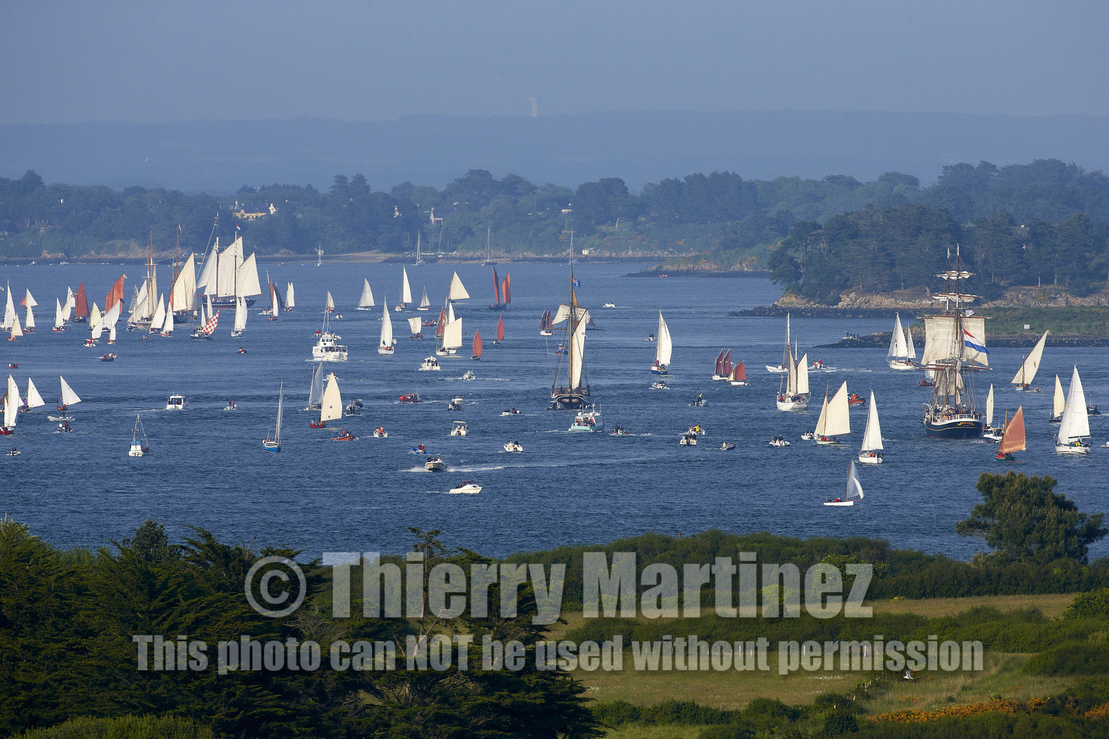 Semaine du Golfe 2015. Parade d'arrivée de la flotte.