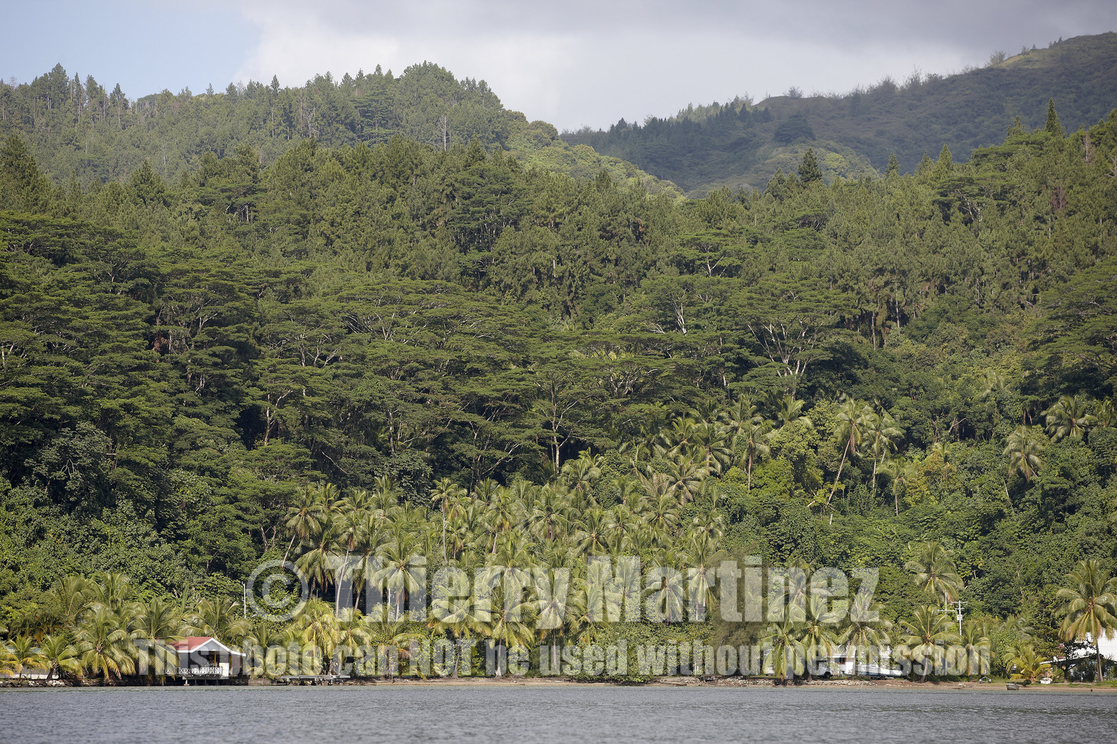 15_025068  ©ThMartinez Sea&Co.  RAIATEA - ILES SOUS LE VENT. POLYNESIE FRANCAISE .  2 Février 2015. ..FERME PERLIERE