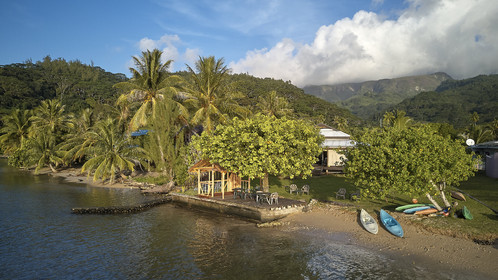 THM-18_038020_TEMEHANI