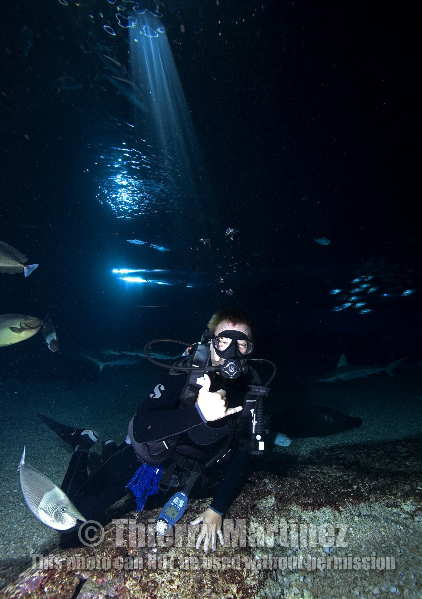 Diving in Maui HAWAII - USA . Jan 2007.