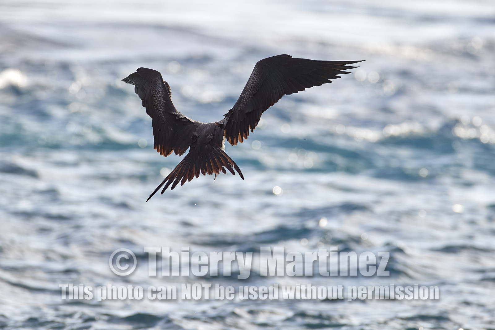 THM-18_039086_RANGIROA