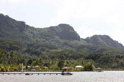15_023236  ©ThMartinez Sea&Co.  HUAHINE - ILES SOUS LE VENT. POLYNESIE FRANCAISE . 31 January 2015. .