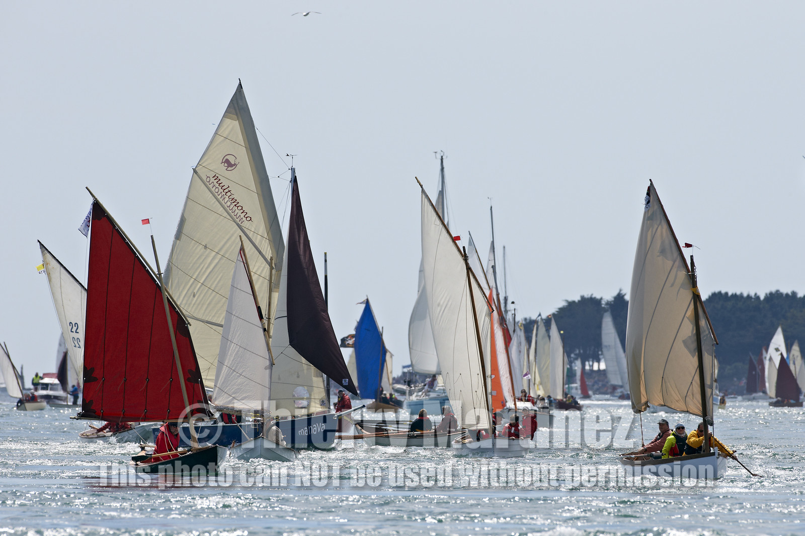 THM-15_47992-SEMAINE du Golfe