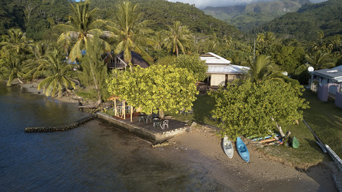 THM-18_038025_TEMEHANI