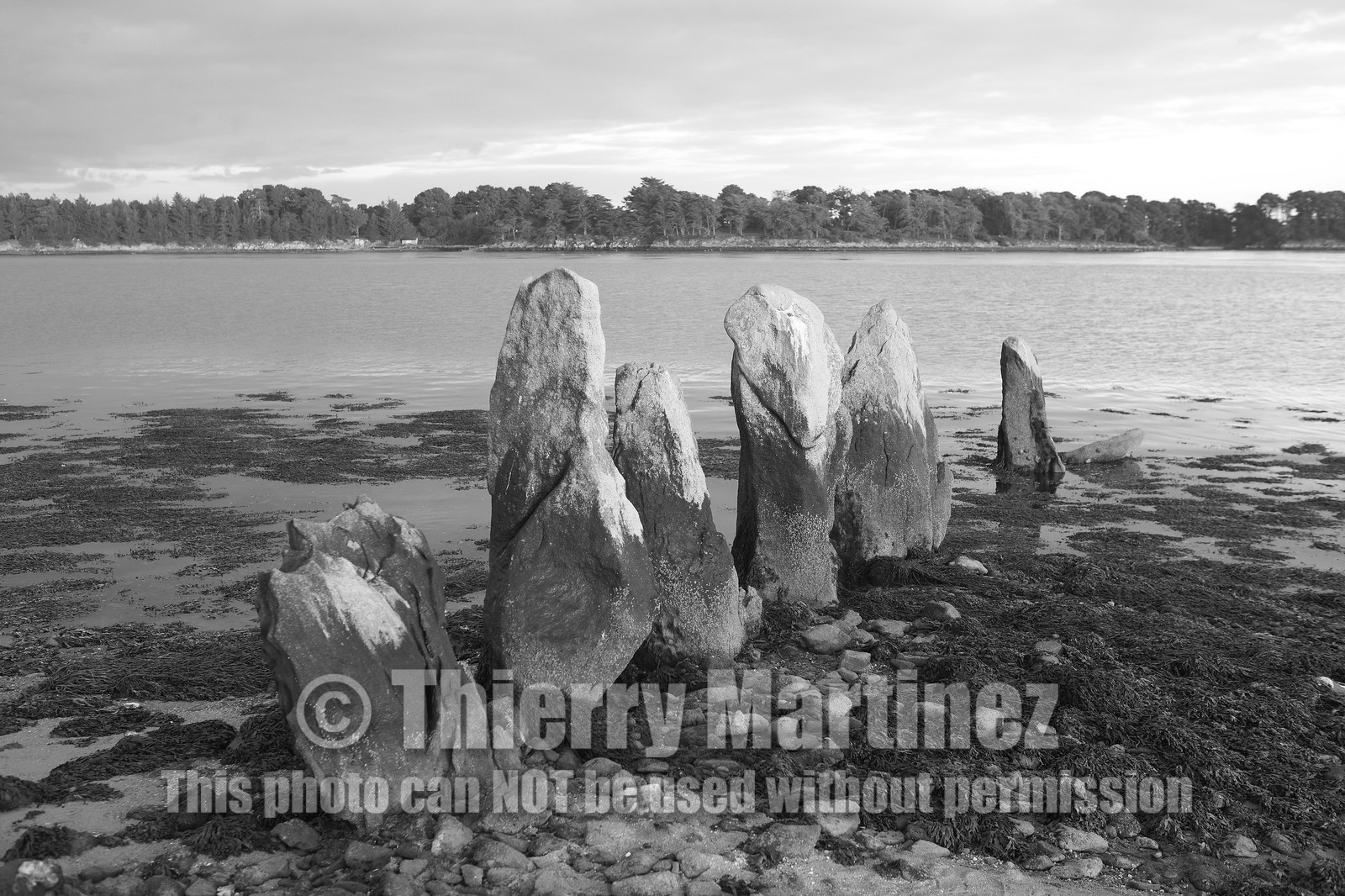 13_03329 Golfe du Morbihan