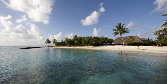15_023554  ©ThMartinez Sea&Co.  HUAHINE - ILES SOUS LE VENT. POLYNESIE FRANCAISE . 31 January 2015. .Village de FARE.
