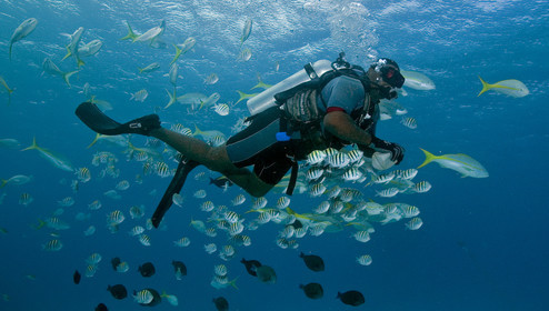 DIVING IN BAHAMAS. Dec 2006.