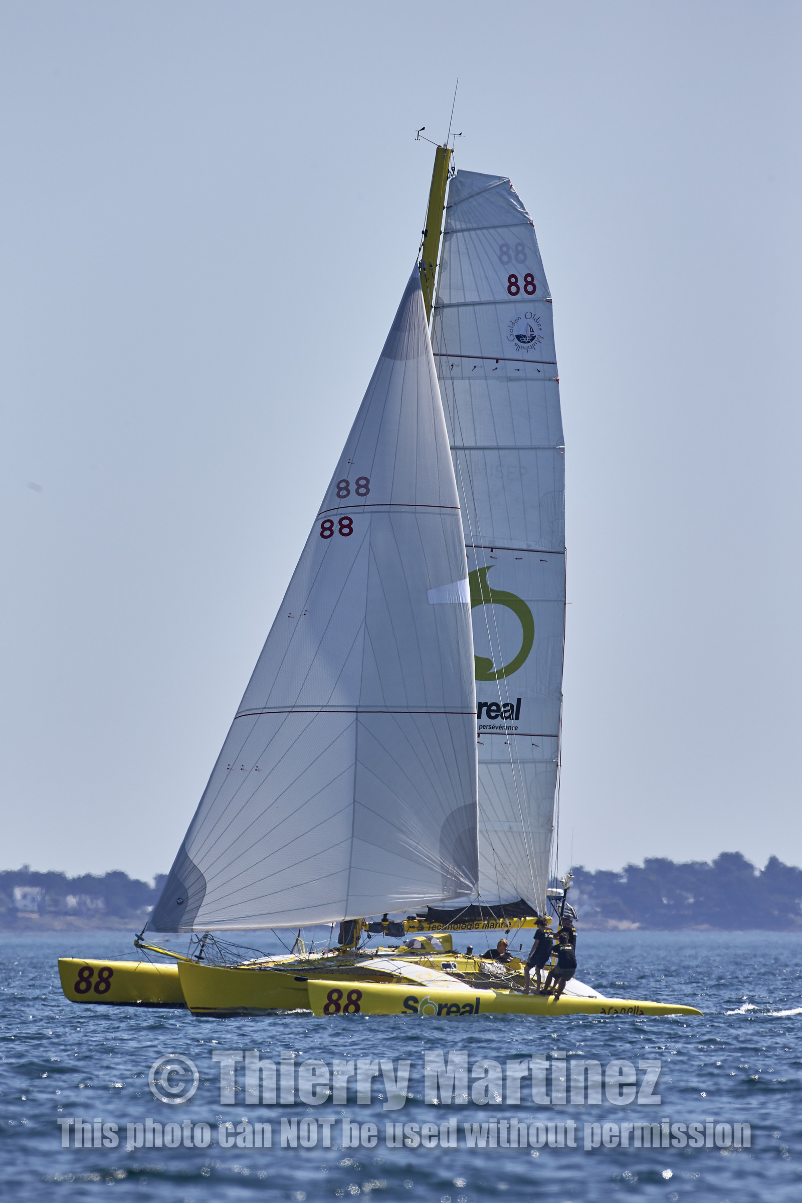 16_46246-DREAHM CUP 2016