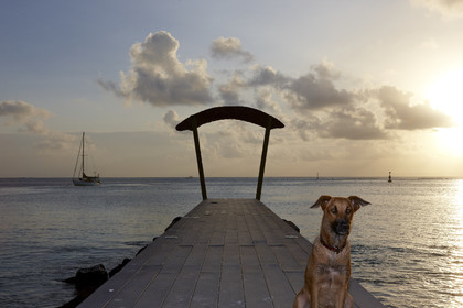 15_023695  ©ThMartinez Sea&Co.  HUAHINE - ILES SOUS LE VENT. POLYNESIE FRANCAISE . 31 January 2015. .Village de FARE.