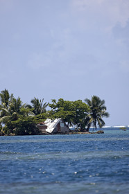 15_023929  ©ThMartinez Sea&Co.  RAIATEA - ILES SOUS LE VENT. POLYNESIE FRANCAISE .  2 Février 2015. ..
