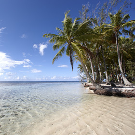 15_024880  ©ThMartinez Sea&Co.  RAIATEA - ILES SOUS LE VENT. POLYNESIE FRANCAISE .  2 Février 2015. ..MOTU dans le lagon de Raiatea.