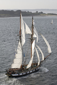 Semaine du Golfe 2015. Parade d'arrivée de la flotte.